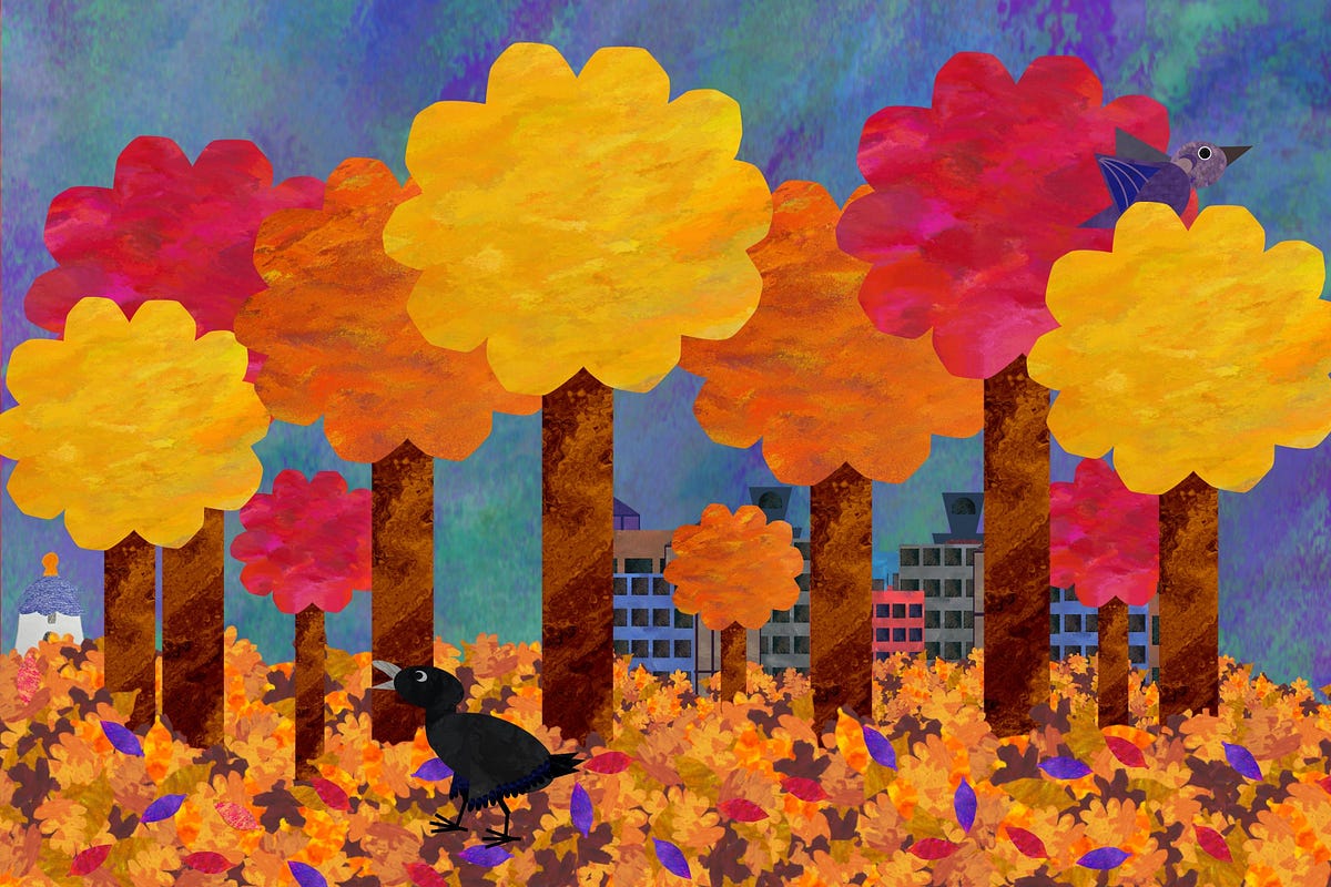 Lòng biết ơn là sự để tâm