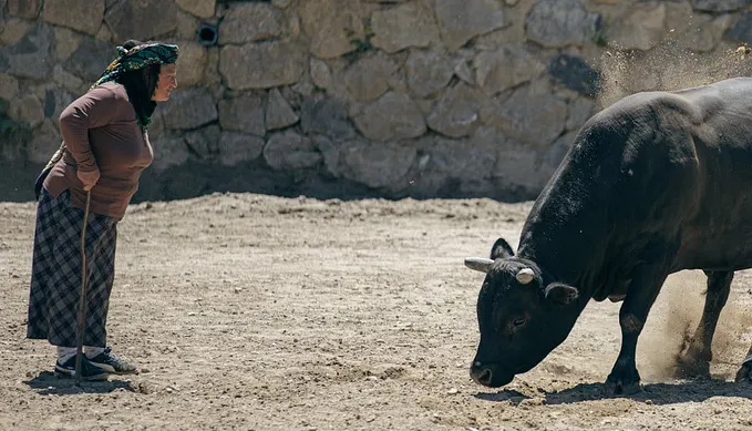 Image 15: Software Developers Will Be Thriving in 5 Years (Despite What Your YouTube Feed Says)